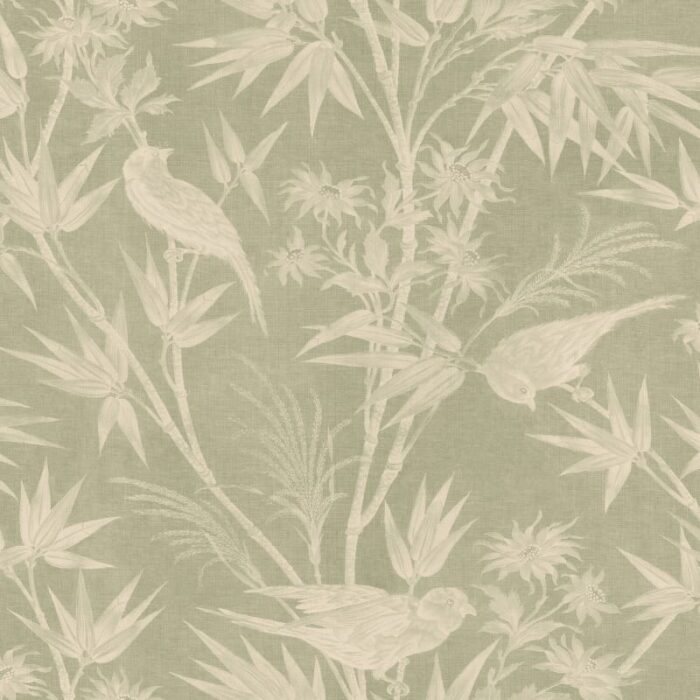 Celeste Green - Sandberg