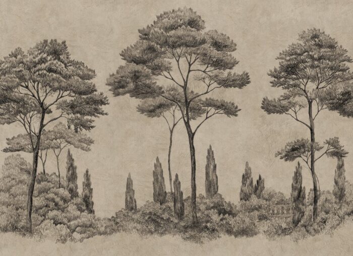 Andrea, Graphite - Sandberg