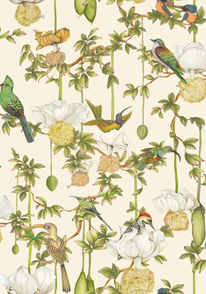 Baobab Botanica, Stone - Cole & Son