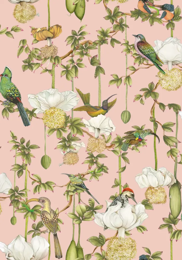 Baobab Botanica, Blush - Cole & Son