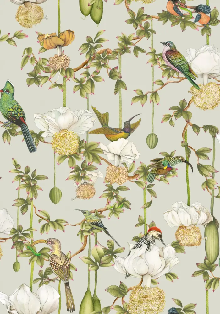 Baobab Botanica, Duck Egg - Cole & Son