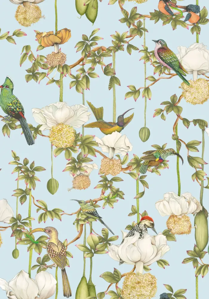 Baobab Botanica, Sky Blue - Cole & Son