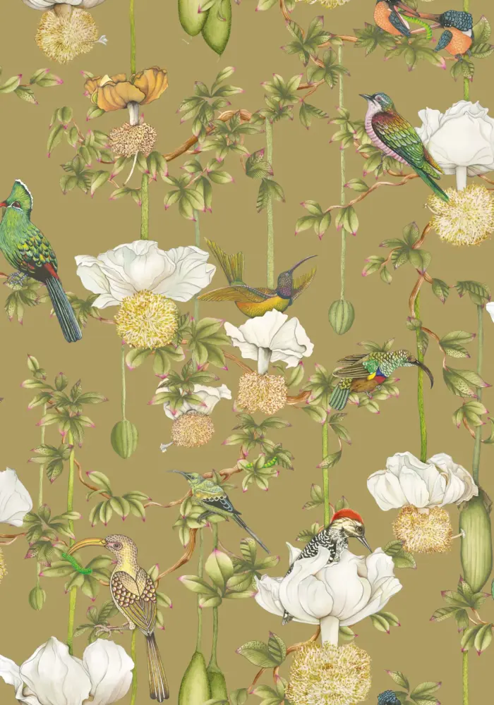 Baobab Botanica, Safari - Cole & Son