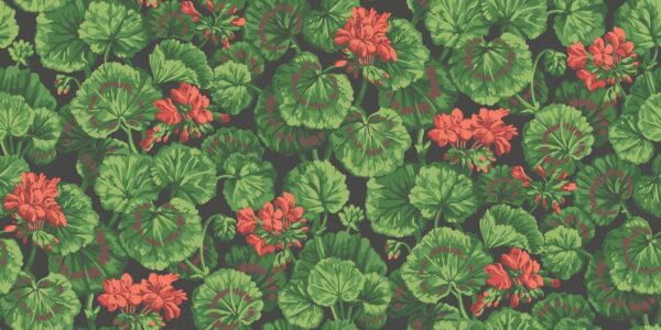 Geranium - Cole & Son