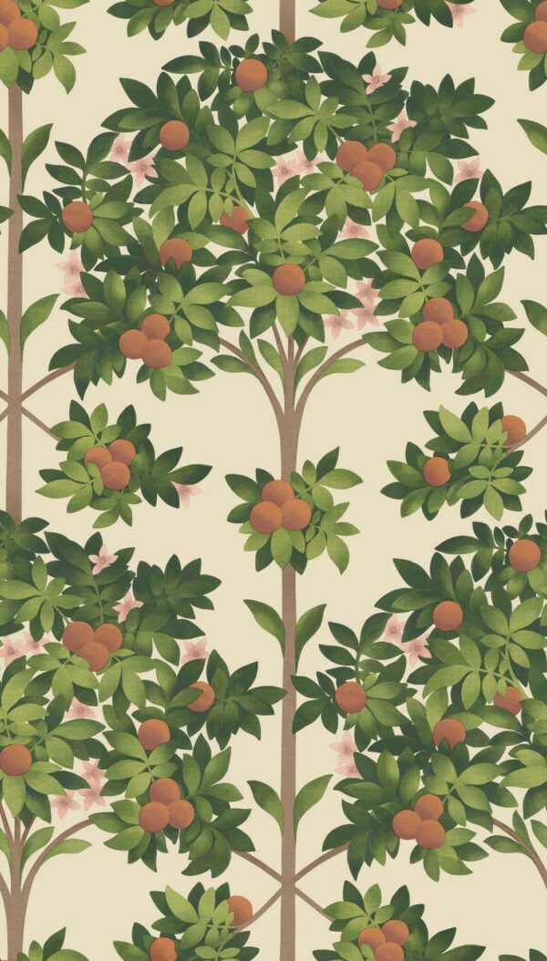 Orange Blossom - Cole & Son