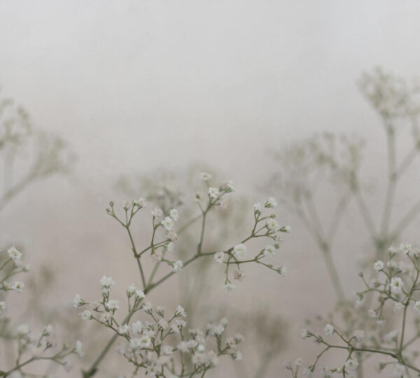 Julia Spring Green - Sandberg