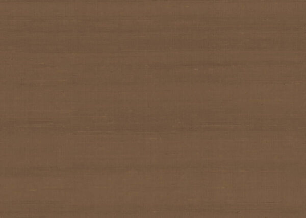 Latus Chocolate - Arte