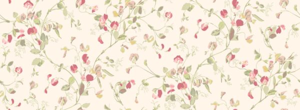 Sweet Pea, Coral & Olive on Cream - Cole & Son
