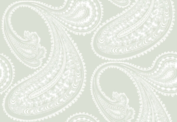 Rajapur - Cole & Son