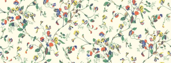 Sweet Pea, Autumnal Multi on Cream - Cole & Son