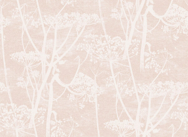 Cow Parsley, Ballet Slipper - Cole & Son
