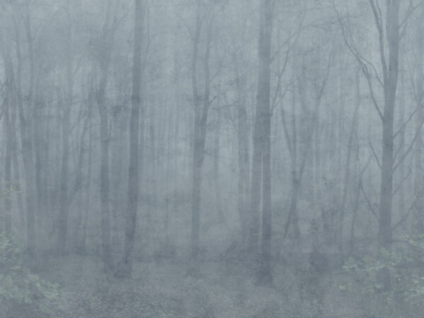 Skog Misty Blue - Sandberg