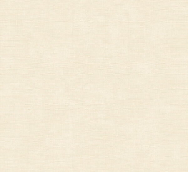 Tulle Cream - Arte