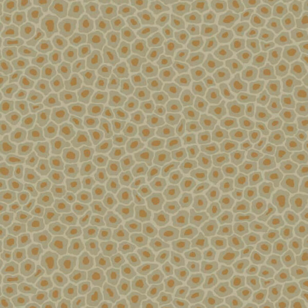 Senzo Spot, Old Olive & Metallic Bronze - Cole & Son