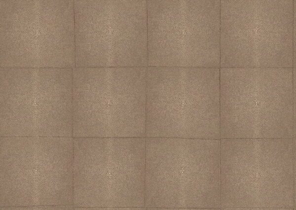 Shagreen Chocolate - Arte