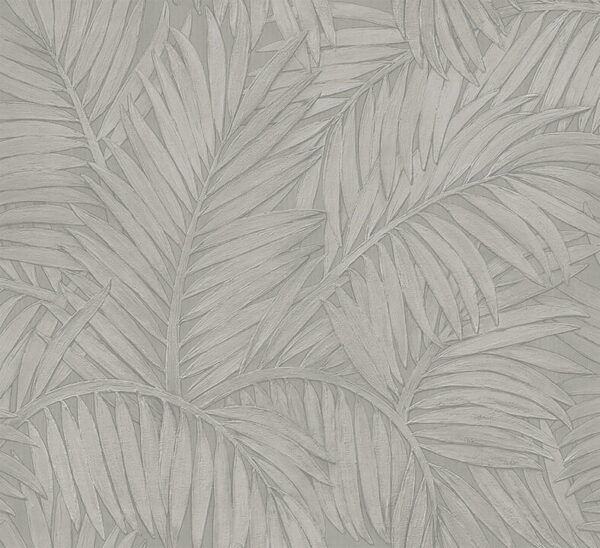 Sabal Silver - Arte