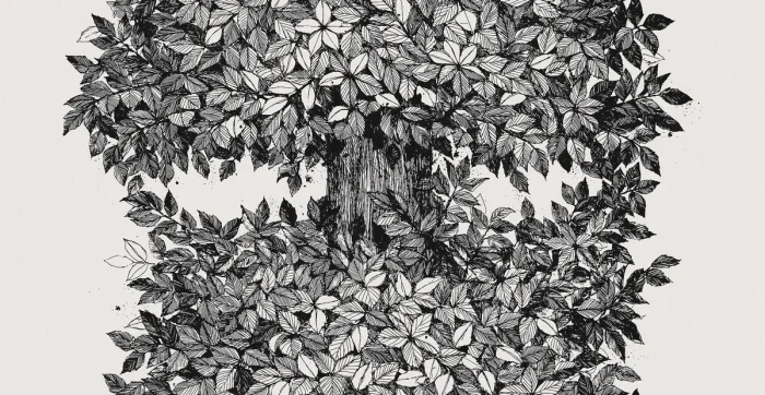 Viola Gråsten Hassel - Boråstapeter