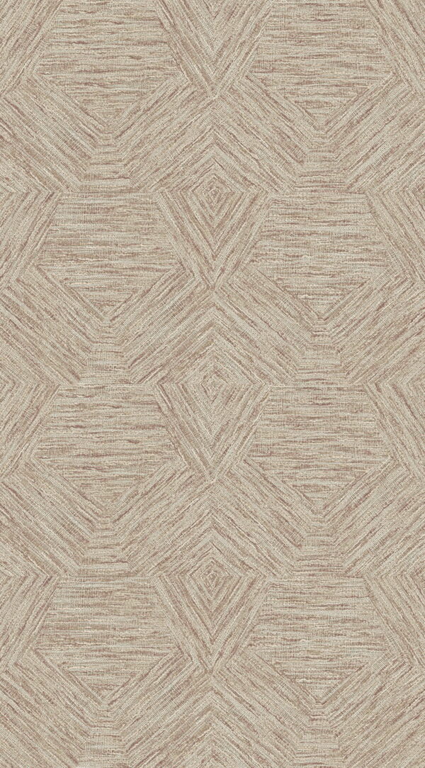 Pentagono Maroon - Arte