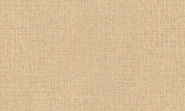 Nongo Sand - Arte