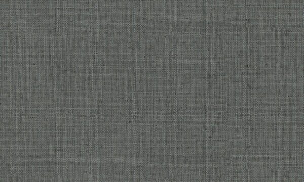 Nongo Blue Ash - Arte