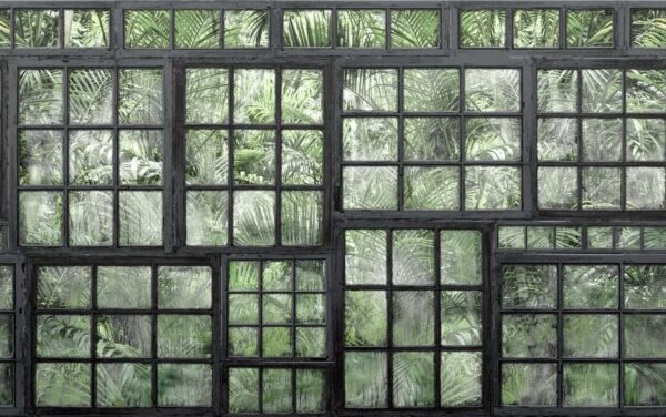 Perspective Jardin, Noir - Rebel Walls