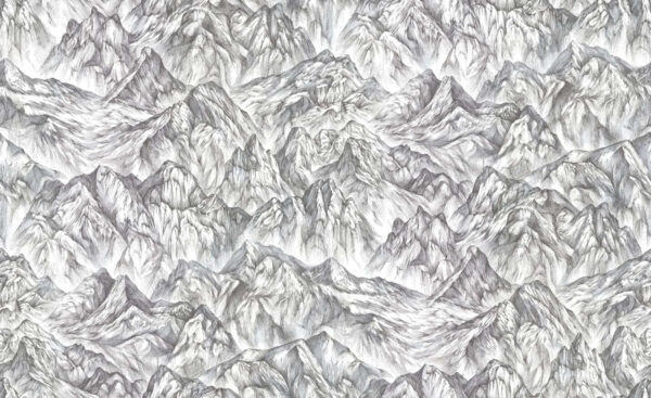 Moon Rock,  Surface - Rebel Walls