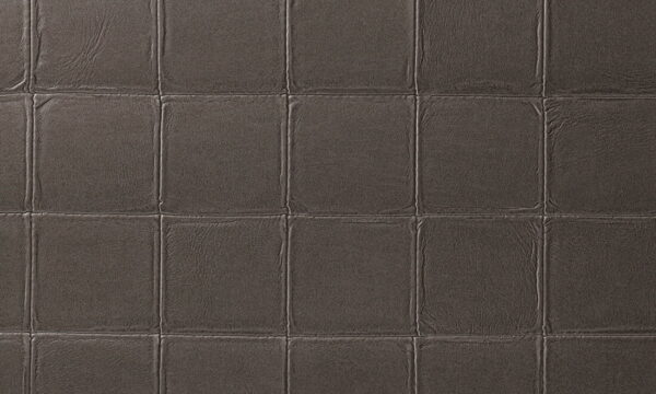 Alma Taupe - Arte