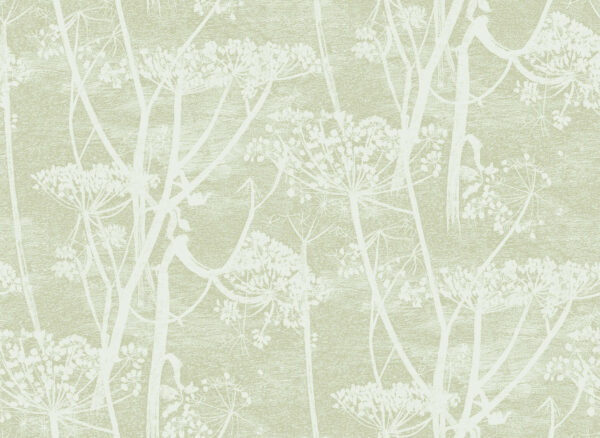 Cow Parsley, Olive - Cole & Son