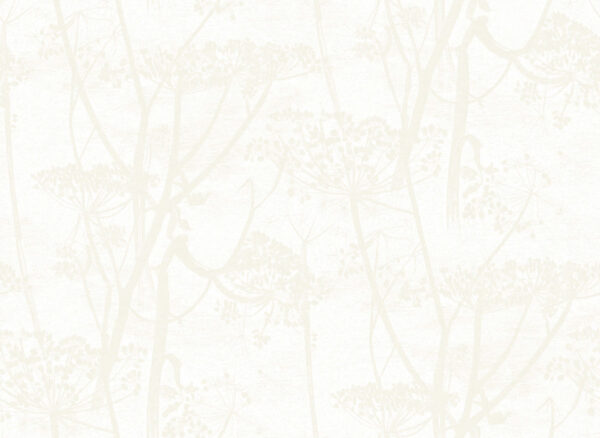 Cow Parsley - Cole & Son