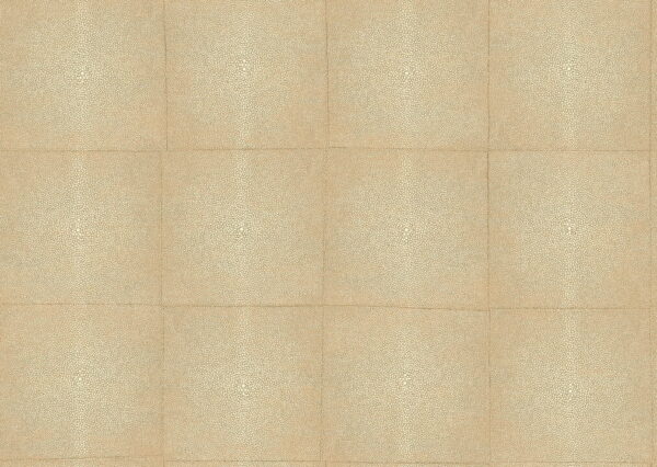 Shagreen Sand - Arte