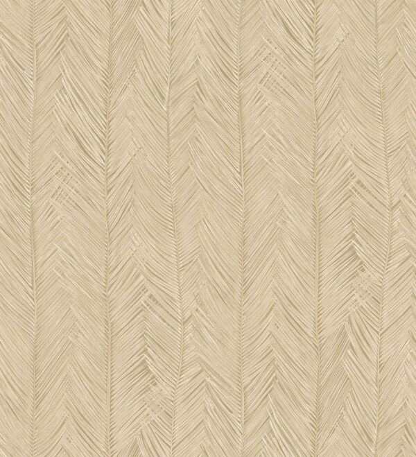 Itaya Coquille - Arte
