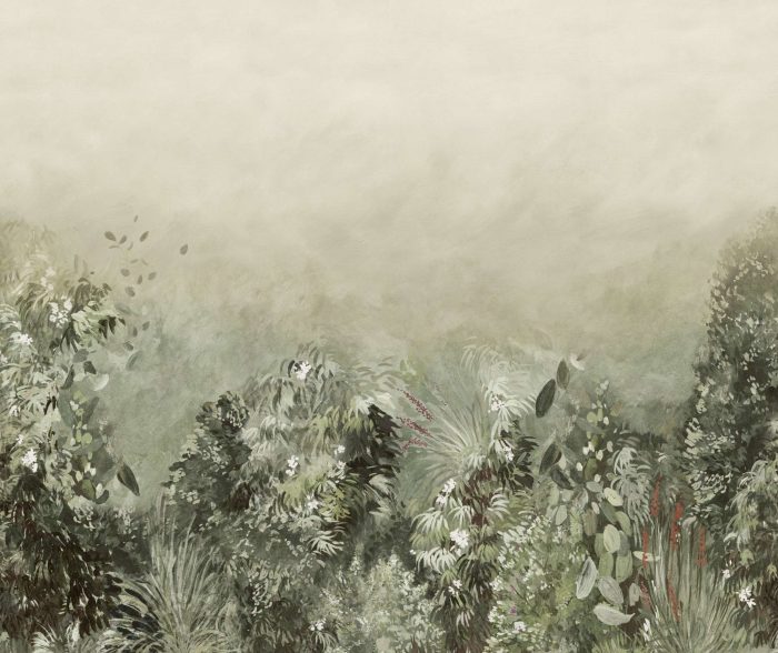 Ferns Grow - Omexco heilmynd