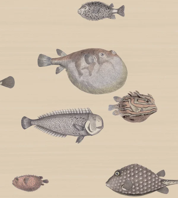 Acquario Taupe - Cole & Son