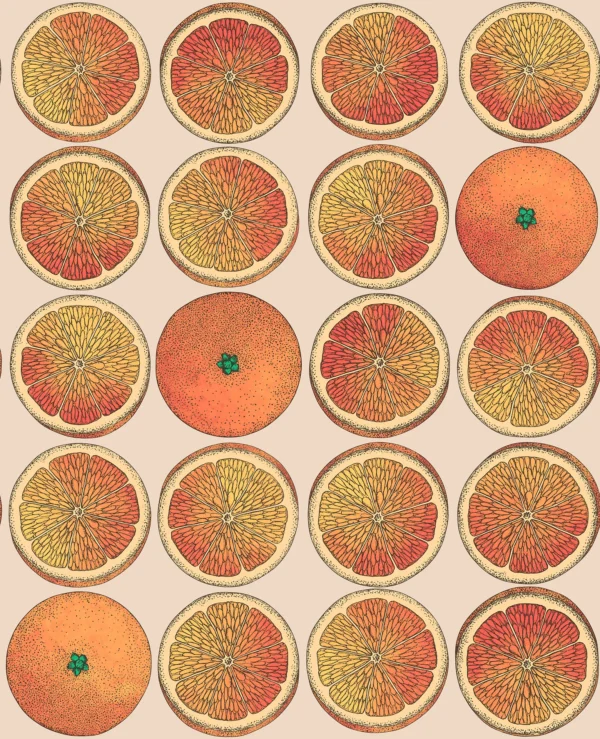 Arance Orange & Cream - Cole & Son