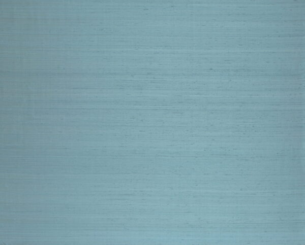 Papillon Turquoise - Arte