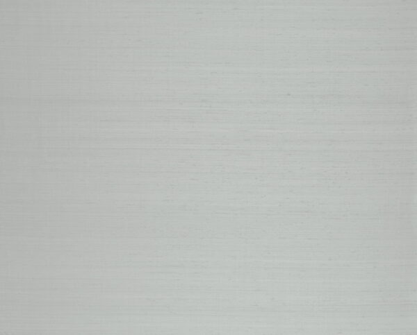 Papillon Pale Blue - Arte