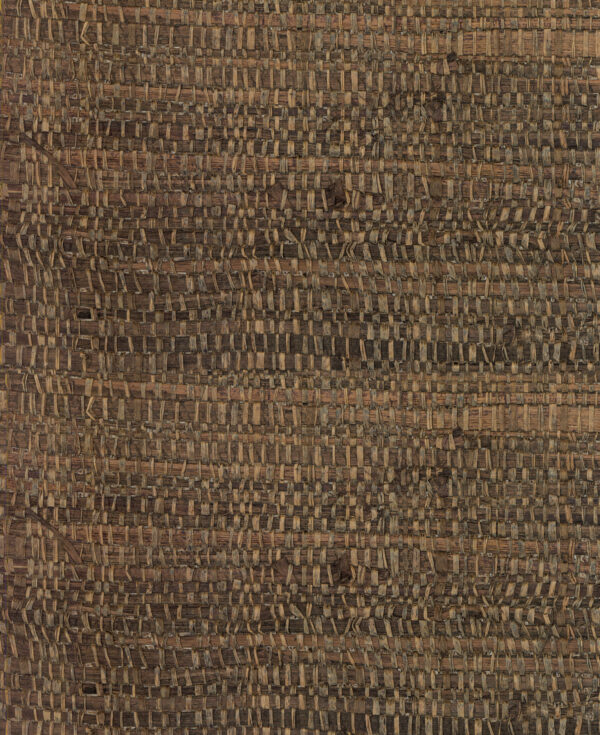 Tana Pecan - Arte