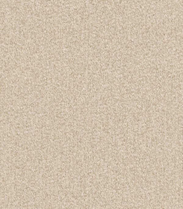 Montagna Sand - Arte