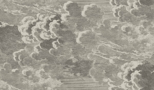 Nuvolette, Metallic Gilver & Charcoal - Cole & Son (2 rúllur)