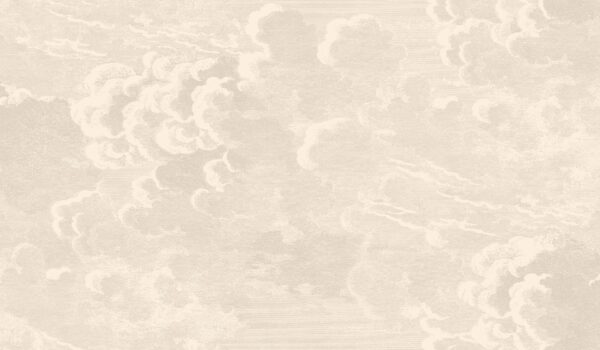 Nuvolette, Stone - Cole & Son (2 rúllur)