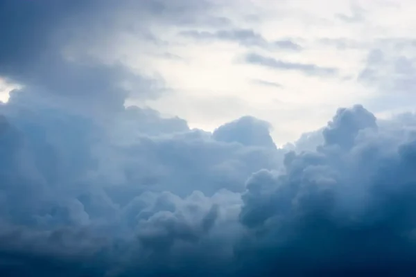 Above the Clouds - Rebel Walls