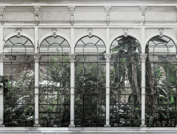 Dove Gardens, White - Rebel Walls