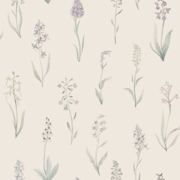 Alma, Lilac - Sandberg