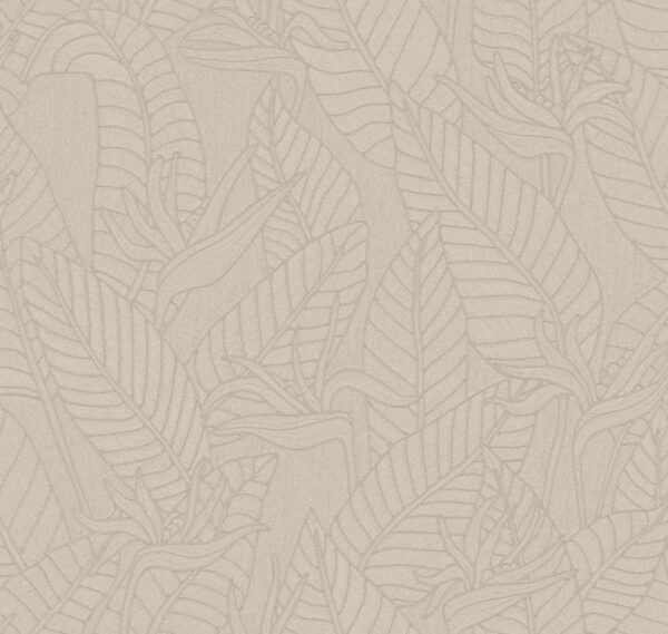 Strelitzia Zinc - Arte