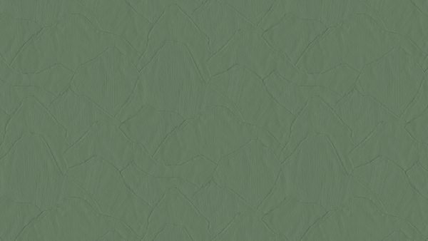 Shards Fern - Arte
